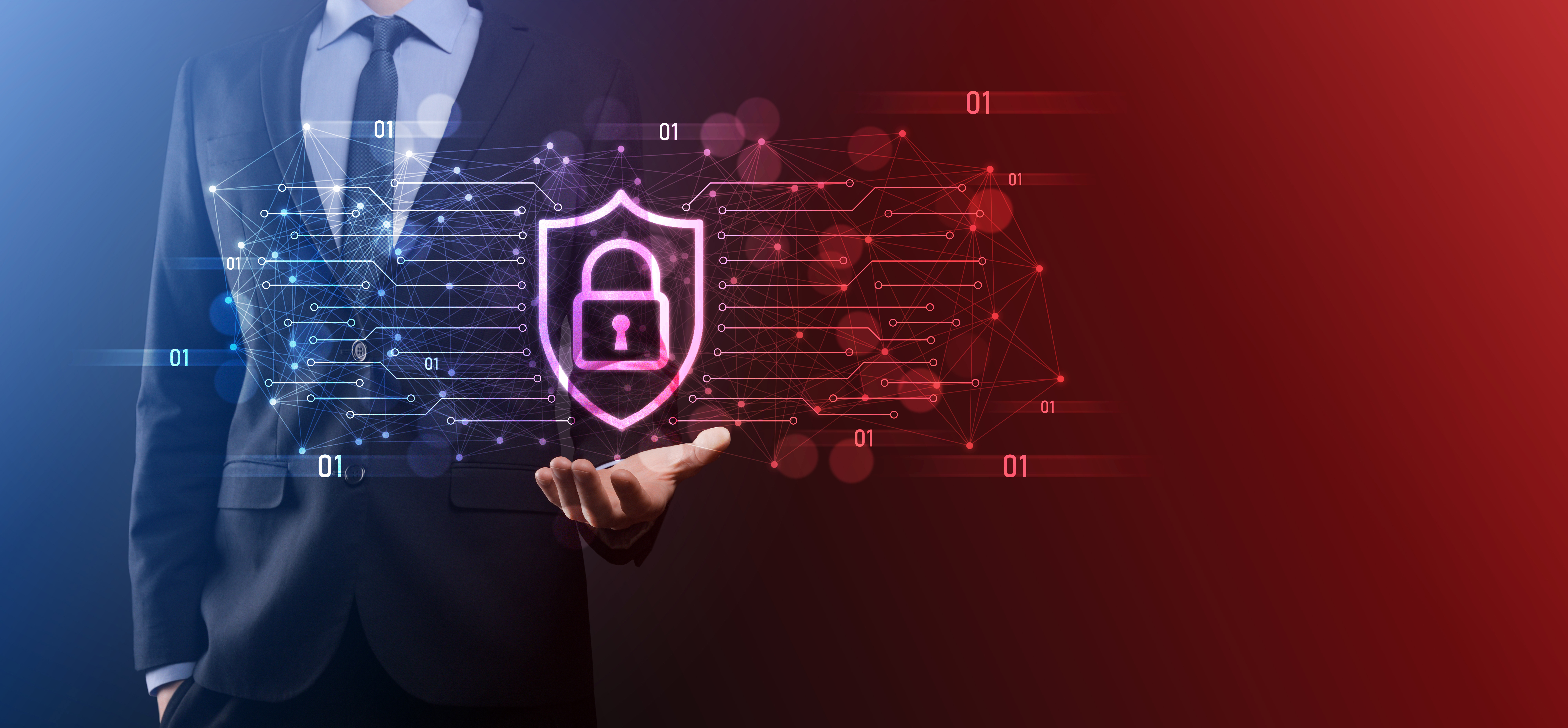 Direito Digital - Contencioso e Provas Digitais